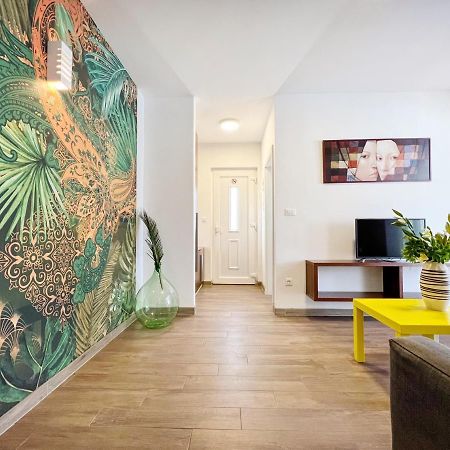 Apartments Teodora Maria Novigrad Istria 외부 사진