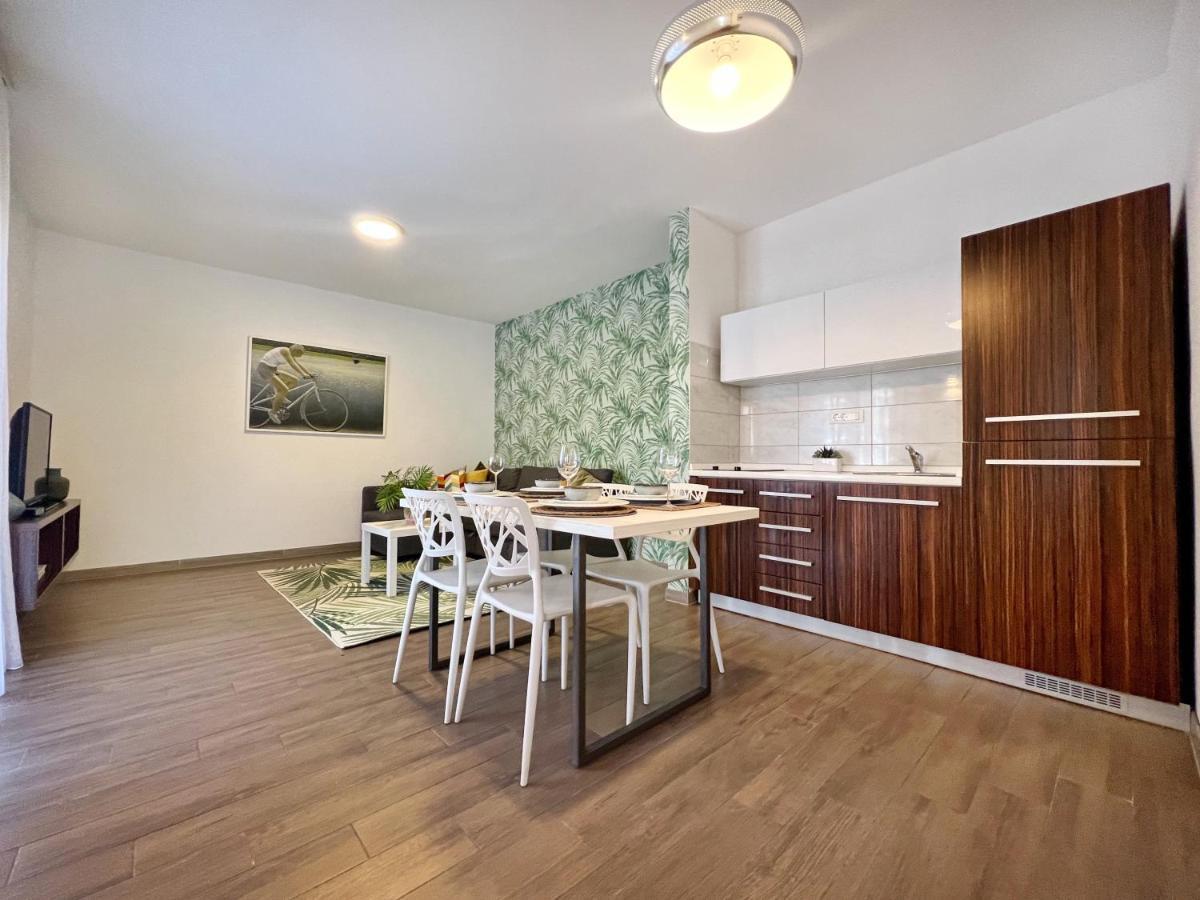 Apartments Teodora Maria Novigrad Istria 외부 사진