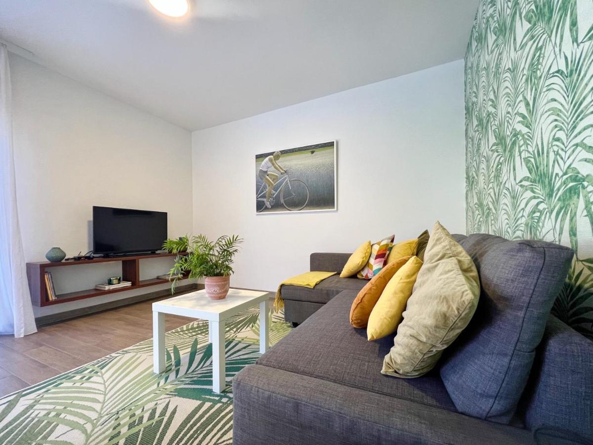 Apartments Teodora Maria Novigrad Istria 외부 사진