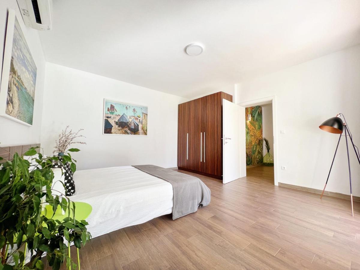 Apartments Teodora Maria Novigrad Istria 외부 사진