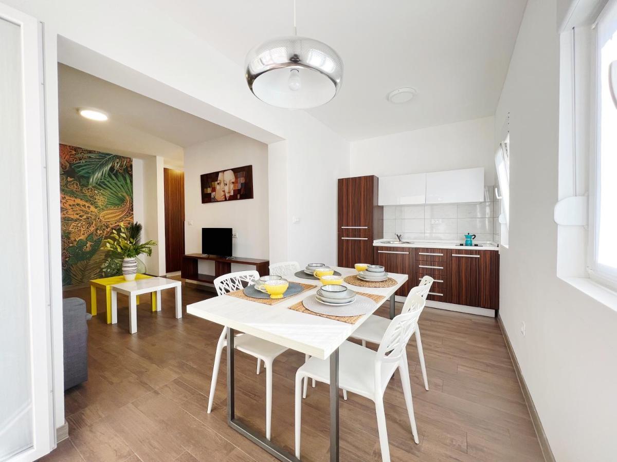 Apartments Teodora Maria Novigrad Istria 외부 사진